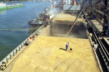 Україна посіла третє місце серед лідерів експорту зерна