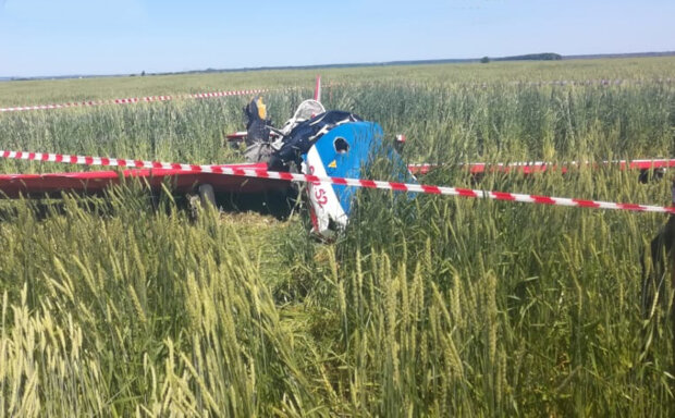 Катастрофа Як-52, фото из соцсетей