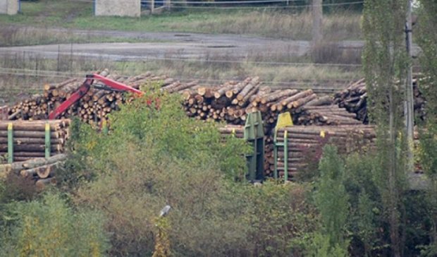 До вступления в силу запрета с Закарпатья впопыхах вывозят лес (фото)  