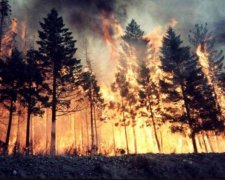 Сидіть вдома: українців попередили про найстрашніше