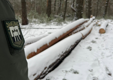 Госэкоинспекция