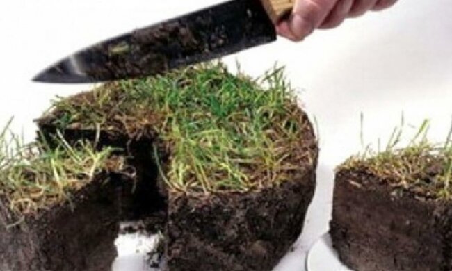 Львівські бійці АТО отримають гроші замість землі  