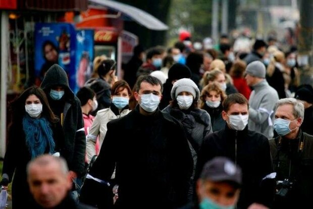 Птичий грипп атакует Украину, уже есть первые пострадавшие: как уберечься от опасности
