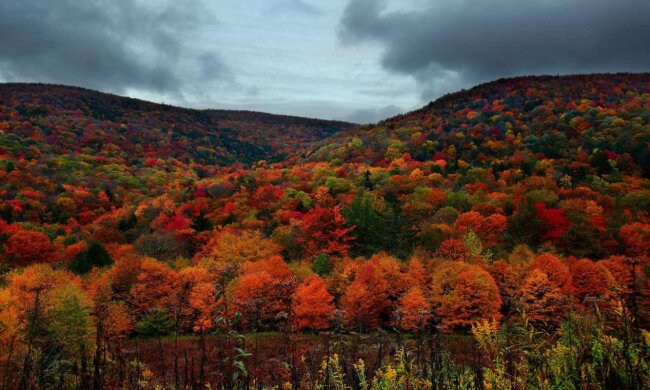 Погода в Україні, фото: Pic2.me