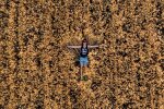 Заробитчанин вернулся из Дании, фото: instagram.com/foris.blog