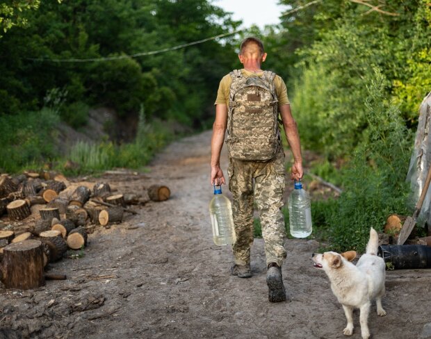 Животные на Донбассе, фото с фейсбук