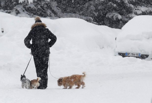 Синоптики ничем не порадовали украинцев, будет жестко: бешенный ветер и яростный снег