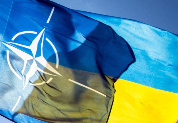 В Раде новая зрада: опубликованы списки тех, кто не хочет видеть Украину в НАТО