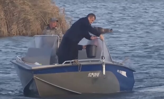 Под Киевом полтонны рыбы всплыли брюхами за одну ночь - катастрофа на пороге