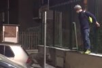 Здичавілий кабан розправився з "порушниками" краще за копів - загнав за паркан і...