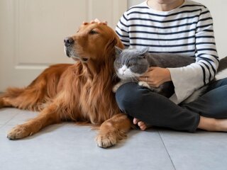 Господар з домашніми улюбленцями