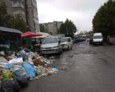 Львів тоне у смітті на тлі "сліпих" комунальників Садового: "Це взагалі законно?"