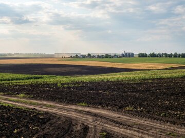 земля пай сільгоспполе чорнозем
