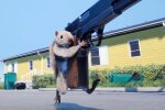 Squirrel With a Gun / фото: скриншот Youtube