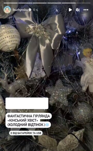 Stories Каті Бужинської, скріншот: Instagram