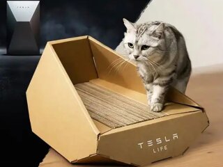 Лоток для кішок у стилі Tesla, скріншот: X