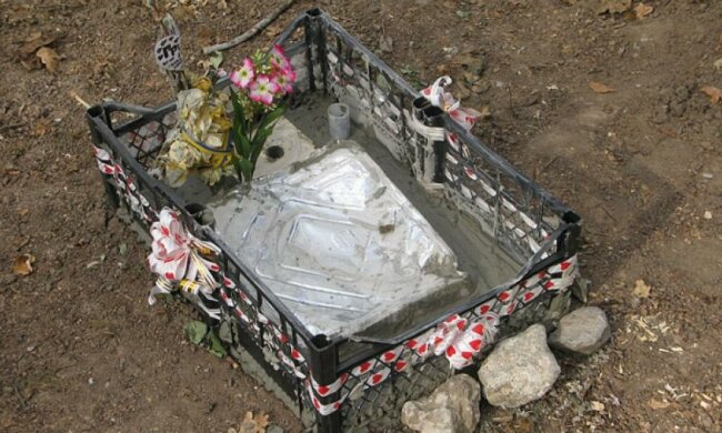 У Харкові тварин ховають на особливому кладовищі (фото)