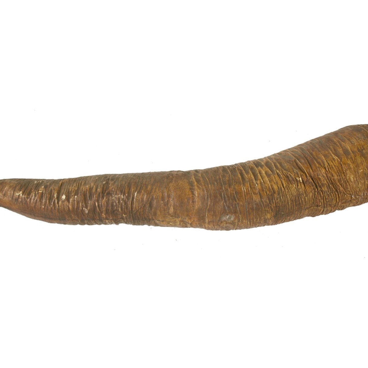 Іш киімдегі BBW әжелер