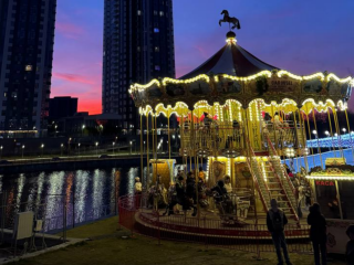 Київ, карусель, Новий рік, фото із соцмереж