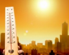 5 рецептов выживания в жару