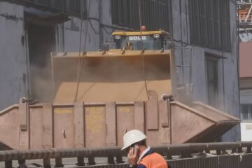 Украинское зерно, фото: скриншот из видео