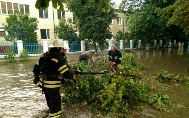 Погода на 14 мая: спасатели предостерегли украинцев