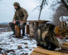 Доба в АТО: чисельні порушення та поранені бійці