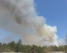 Дим стовпом і сморід на всю Вінницю: знахабнілий містянин позбавився від сміття хамським способом, дике відео