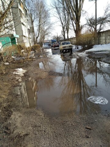 фото: Вова Михалев / Фейсбук