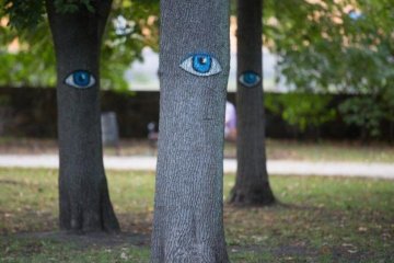 Так дешевше: українців хочуть ховати в парках і без труни