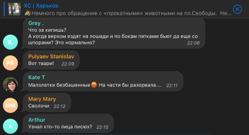 Скриншот комментариев, фото: Telegram