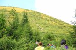 "Она не считает, что какая-то особенная": 5-летняя украинка поразила всю страну спортивными достижениями, такое даже взрослым не под силу