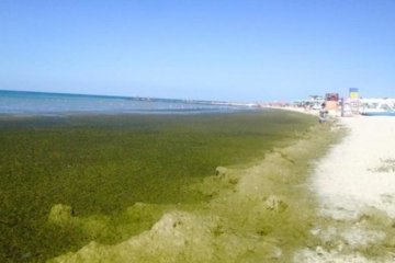 Грязные пляжи Херсонщини шокируют отдыхающих