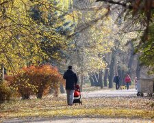 Запорожцы, шапки не понадобятся: синоптики порадовали прогнозом на 8 ноября