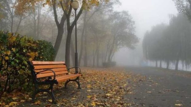 Погода в Запорожье 27 ноября: осень разгуляется по полной, о прогулках лучше забыть