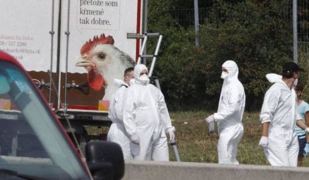 В Австрії у вантажівці виявили тіла 71 мігранта