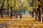 Кияни, без шапок - ні кроку: стихія приготувала неприємний сюрприз 12 листопада