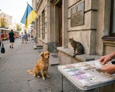 Київ ветеринарна служба тварини