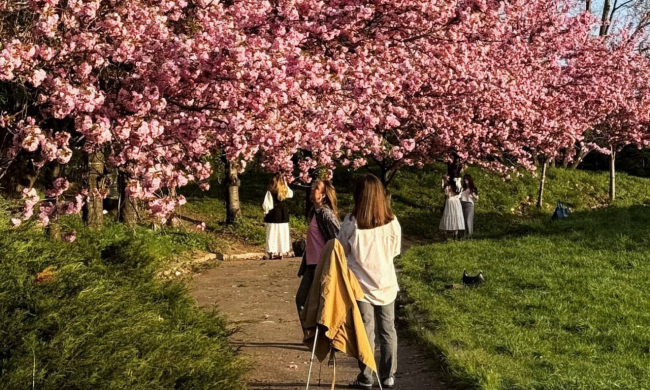 Украинцы, ботанический сад, фото из соцсетей