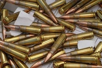Правоохоронці виявили в Донецькій області 17 гранат та 300 патронів (фото)