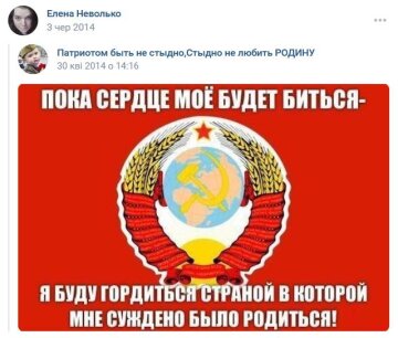 Поклонница русского мира Неволько, скриншот