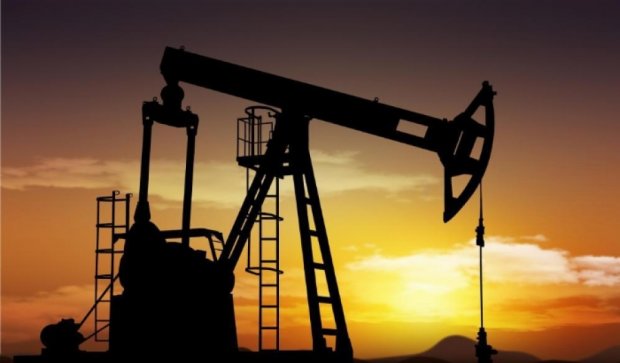 Аналитики прогрозируют снижение цен на нефть до $20 за баррель