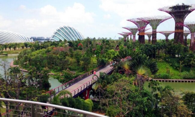 Роботи повернуть людину до раю