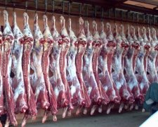 Україна постачатиме м’ясо в Арабські Емірати