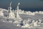 Украинцам показали величие заснеженных Карпат, дыхание перехватывает: "Неужели это реальность?"