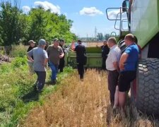 Рейдерське захоплення у селі Рихальське