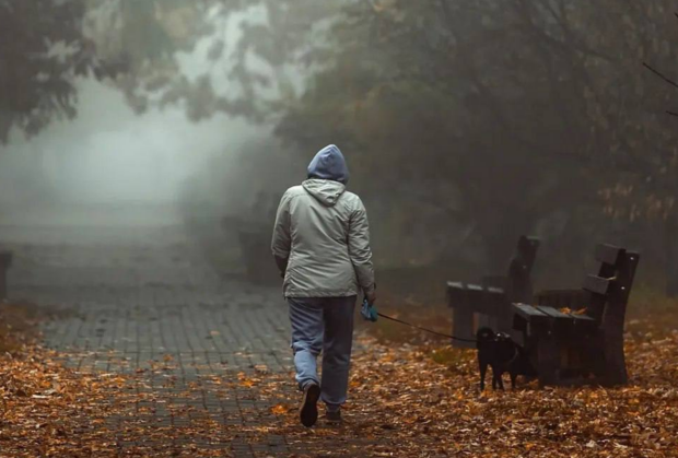 Чому не можна виносити сміття 10 листопада і потрібно з'їсти хліб із сіллю: прикмети та заборони на Ераста