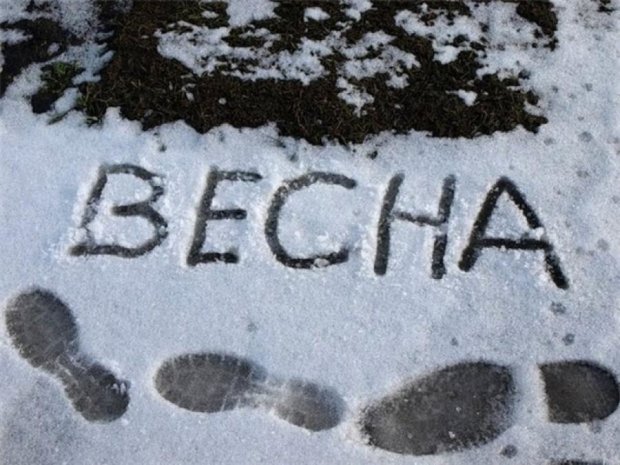На Украину надвигаются заморозки 