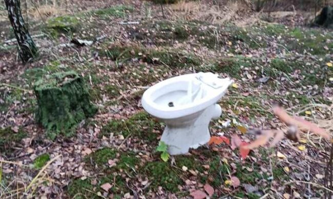 Унитаз посреди леса, фото: социальные сети