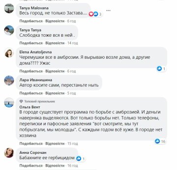 Комментарии к публикации, скриншот: Facebook